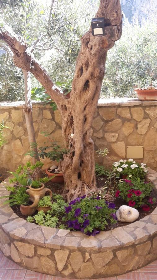 סן ויטו לו קאפו Modus B&B מראה חיצוני תמונה
