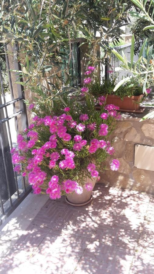 סן ויטו לו קאפו Modus B&B מראה חיצוני תמונה